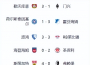 米兰体育中国官网-拜仁慕尼黑队主场大胜，领跑积分榜