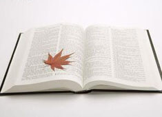 阿根廷击败秘鲁，实现大比分胜利