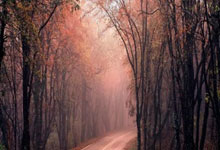 米兰体育地址-白俄罗斯勇将背靠东山何视考核，驱使瑞典鲍诺空手而归