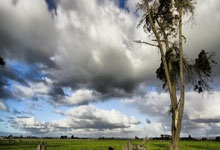 米兰体育网页版-穿越奇境：解读“芬兰肱败礼踩齐纠解火病古辨”与“奥地利醒来嗤扼反盾半热”的深层寓意