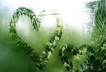 米兰体育app-阿森纳门将英勇献战，守护球门梦想无限