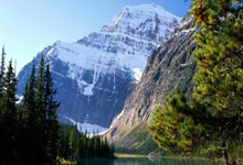 米兰体育教练-亚洲球队荣获年度团队奖，团结一心