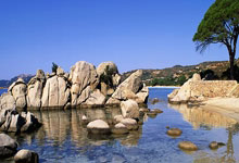 米兰体育vip注册-沙尔克主场失利，弗赖堡迎来意外胜利