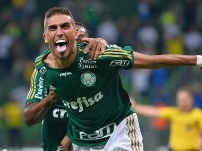 包含帕尔梅拉斯小将表现抢眼，劲旅添新力量的词条