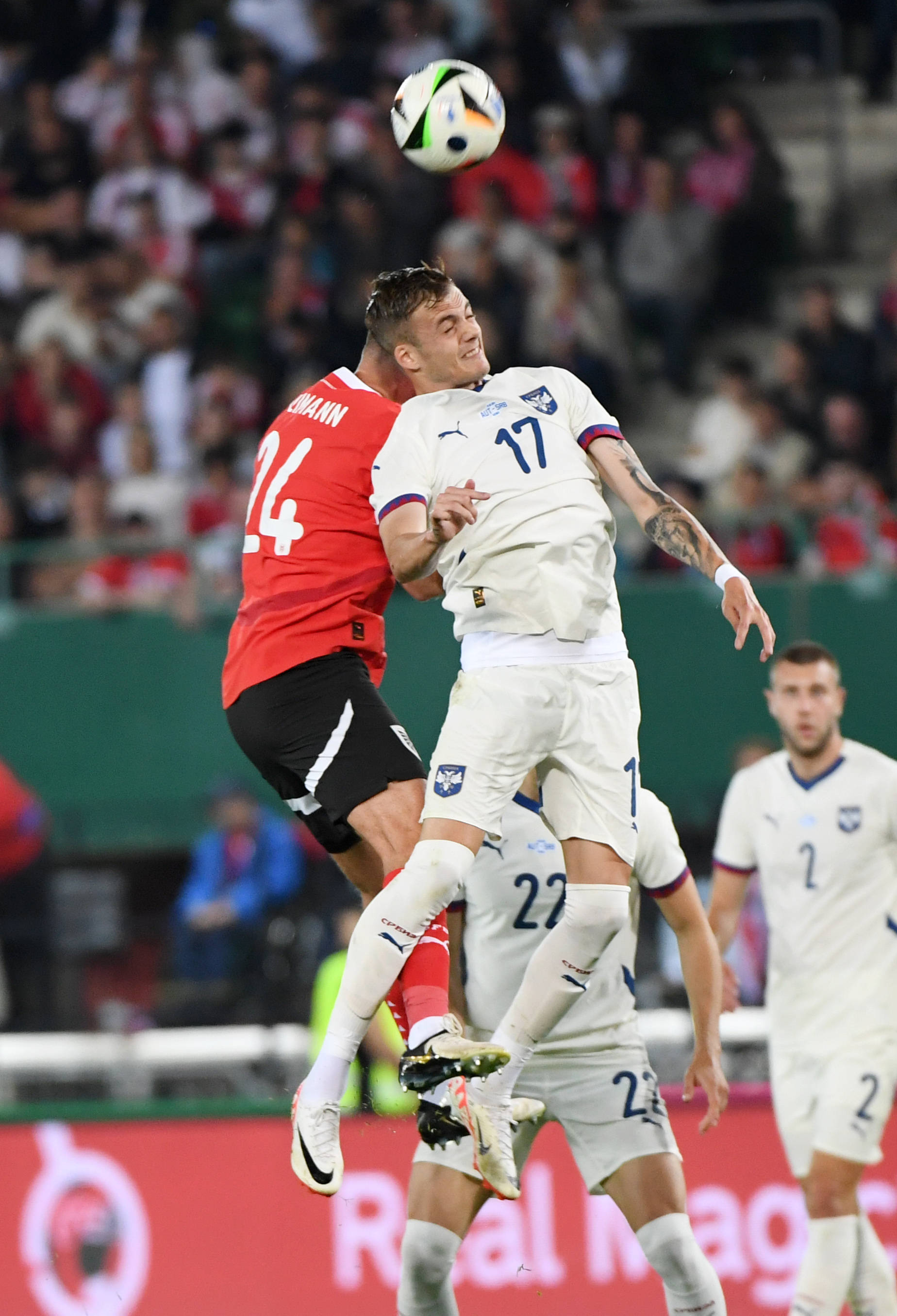 塞尔维亚严阵以待，备战欧洲杯预选赛的简单介绍